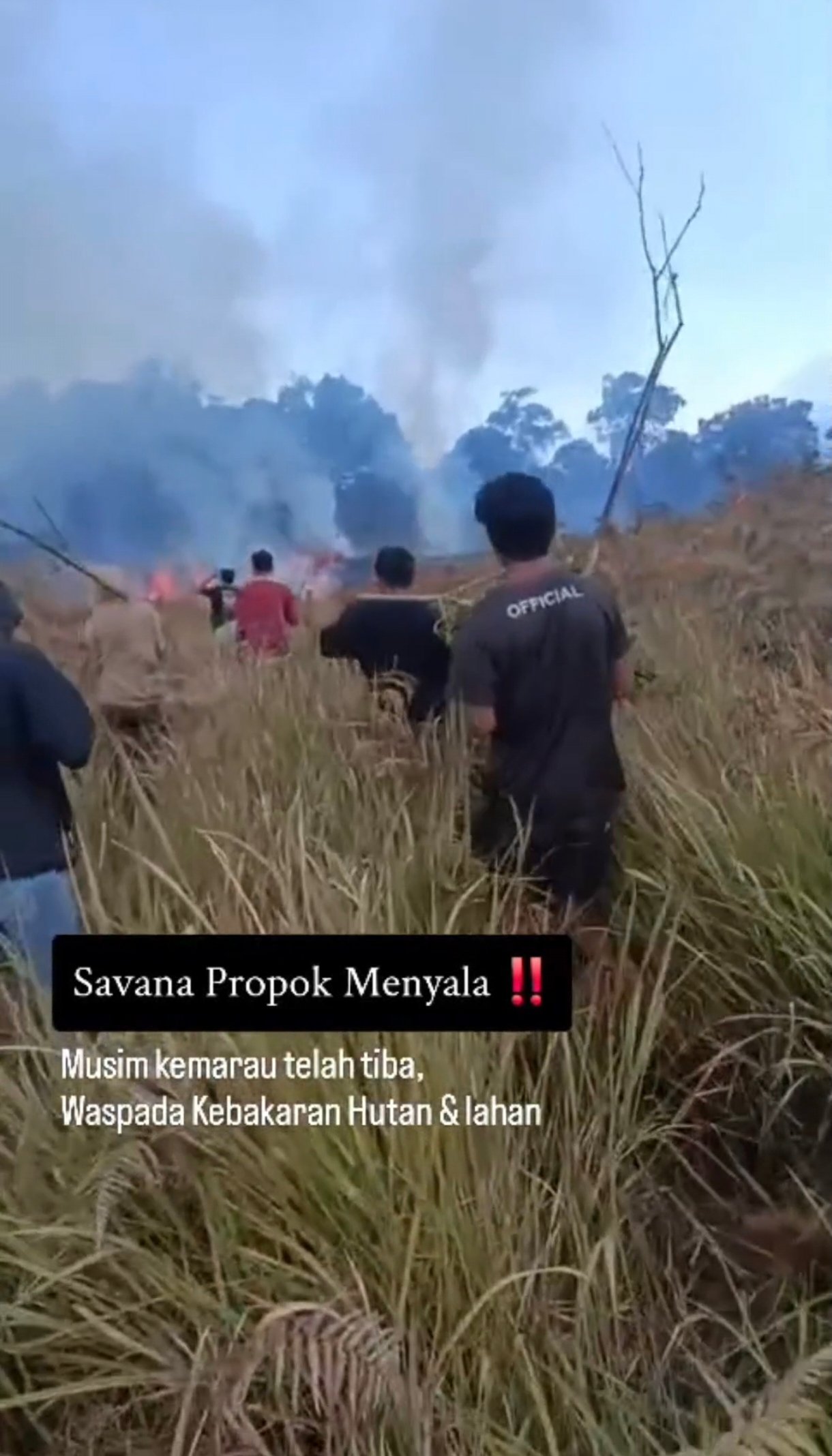 Savana Propok Rinjani Terbakar: Pendaki Diimbau Waspada Gunakan Api